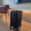 트래블폴더 | 트래블기어 폴더블캐리어, 작게 접히고 크게 쓰는 캐리어 유럽여행에도 안성맞춤