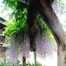 만물상회 이미지