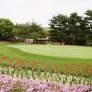 (주)신대광 네이버블로그