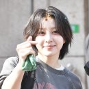 하니네 이미지