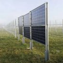 멧돼지 태양광발전소 이미지