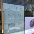 빵터진 유명인 이미지