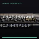 방배고운세상피부과의원