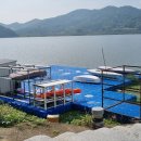 사문진교 이미지