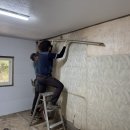 황금성당 이미지