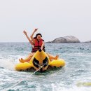 하나레포츠 이미지