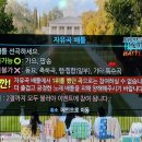 제대정문코인노래연습장 이미지