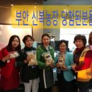 박영신농장 이미지