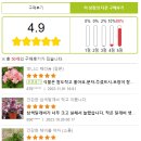 양지화훼