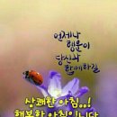 금송약국