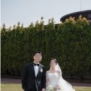 서울파피루스 | 대구 본식스냅 인터불고 파크빌리지 김태우포토 계약후기 (윤이난다, 파피루스웨딩 비교)