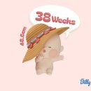 태영프라자 | [임신#33]안산 조은맘산부인과 38주차 검진+빈혈수치 재검사/38주차 임신 증상