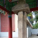 득수부속 | 왕릉숲(3) 영녕릉, 재실에서 3백 년 된 회양목을 볼 수 있다