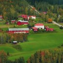 장식농장 이미지