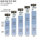 2024년 8월 9일 신문을 통해 알게 된 것들 이미지