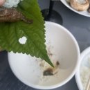 산토리민박 네이버블로그