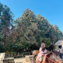 유인목장 이미지