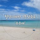 무주애 | 아이와 제주도 월정리해변 숙소 무주애:) 에어비앤비 예약 바다앞 숙소