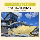 화천 황쏘가리 서식지 | 단양 아쿠아리움 아이랑 실내에서 민물고기를 볼 수 있는 곳