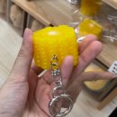 루디아바다 | 강원도 바다 찍먹 여행 ep03 I 강아지와 함께 떠나는 강원도 묵호 여행(카라멜스테이션 카페, 소품샵...