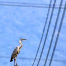 대교  마을회관 이미지