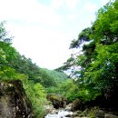 새밭민박 이미지