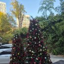 플루토 | 수원 영통 힙한 카페 플루토플루토X언덜 내돈내산 솔직후기