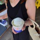 시완농장 | 제주 아침미소목장 아이와 가볼만한곳!!