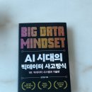 빅데이터를 제대로 이해하고 싶다면, AI 시대의 빅데이터 사고방식 경제경영 책추천