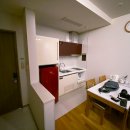 로카와 델피노1 이미지