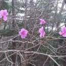 안녕 칠천도 이미지