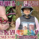 별장한증막 이미지