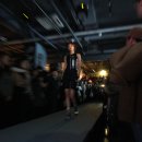 그루밍쇼 이미지