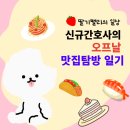 신규간호사 일기| 방구석 혼자 놀고 맛집 탐방하는 일상