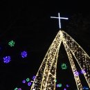 대전시청 이미지