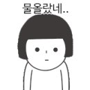 골드헤어라인 네이버블로그