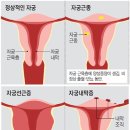 오동나무한의원 이미지