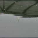 헤라낚시터 이미지