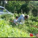 가정농장 이미지