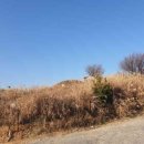 남구-111 네이버블로그
