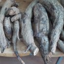 대한건재 이미지