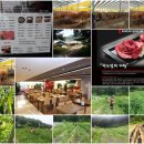 강화섬농장 이미지