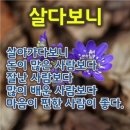 이승만 대통령의 공 과 - 전한길 이미지