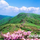 영주 이미지