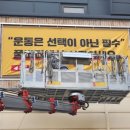 청춘광고기획