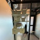 멍멍아학교가자 (대곡점) 이미지