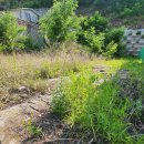 금대지부동산중개사무소 이미지