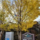 신흥리방사탑 1호 | 제주 조천 신흥리방사탑 제주신흥해수욕장 무지개도로