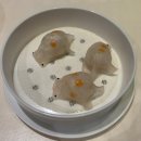 제주프레임호스텔 | 칭다오