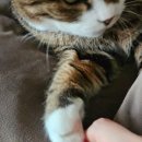 오씨주택 이미지